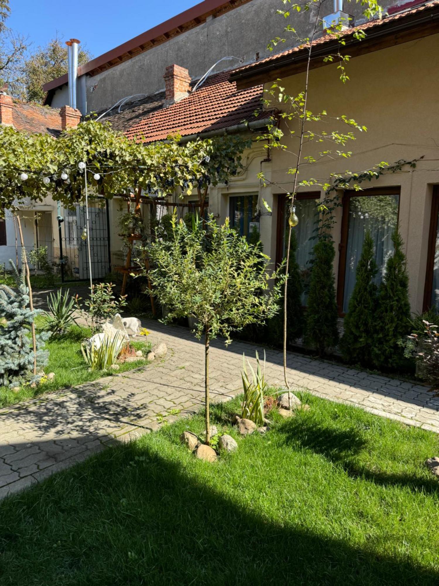 Studio Rezistenta Făgăraş 외부 사진